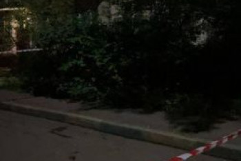 Фотография к новости: Отец выкинул трехлетнего ребенка из окна пятого этажа в Москве