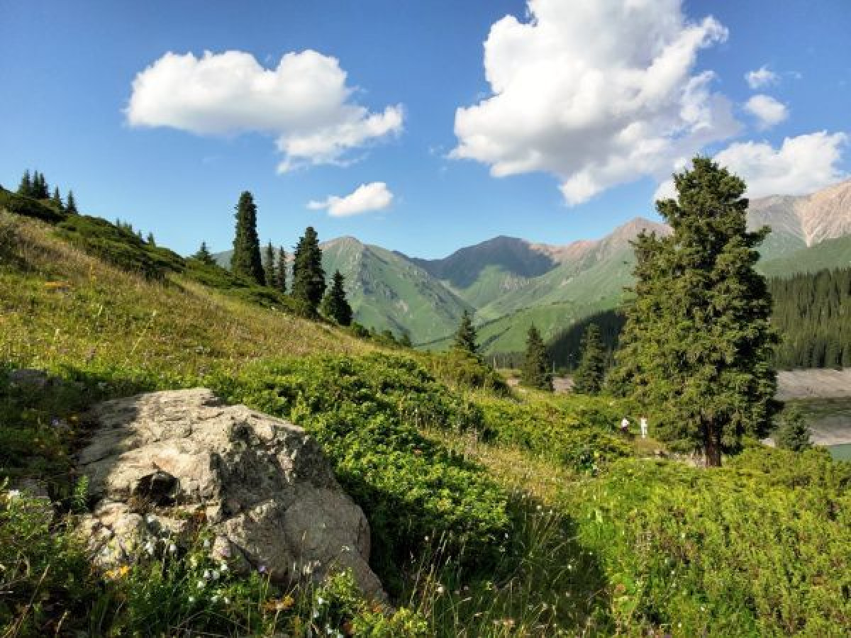 из открытых источников