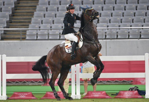 Фотография к новости: Тренера отстранили от Олимпиады за избиение лошади