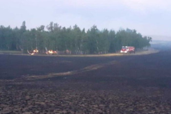 Фотография к новости: Огонь охватил 40 гектаров лесхоза в Акмолинской области