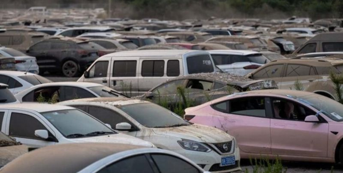 кадр из видео