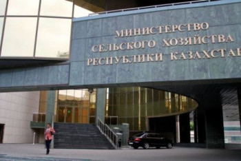 Фотография к новости: В МСХ назвали безосновательным прогноз о падеже скота из-за дефицита кормов