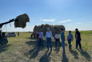 Фотография к новости: В МСХ опровергли информацию о дефиците корма и падеже скота в Алматинской области