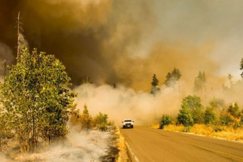Фотография к новости: Глобальное потепление развивается быстрее и в этом виноваты люди - ООН