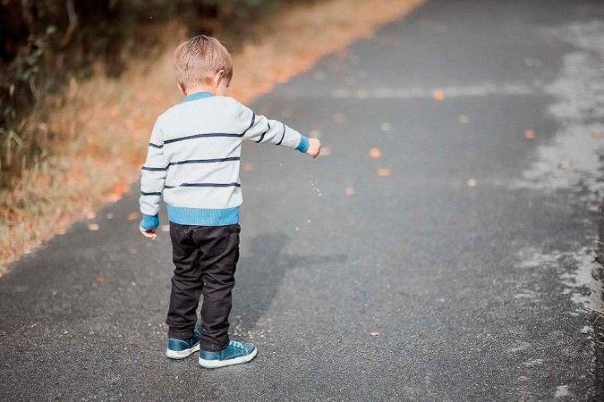 иллюстративное 