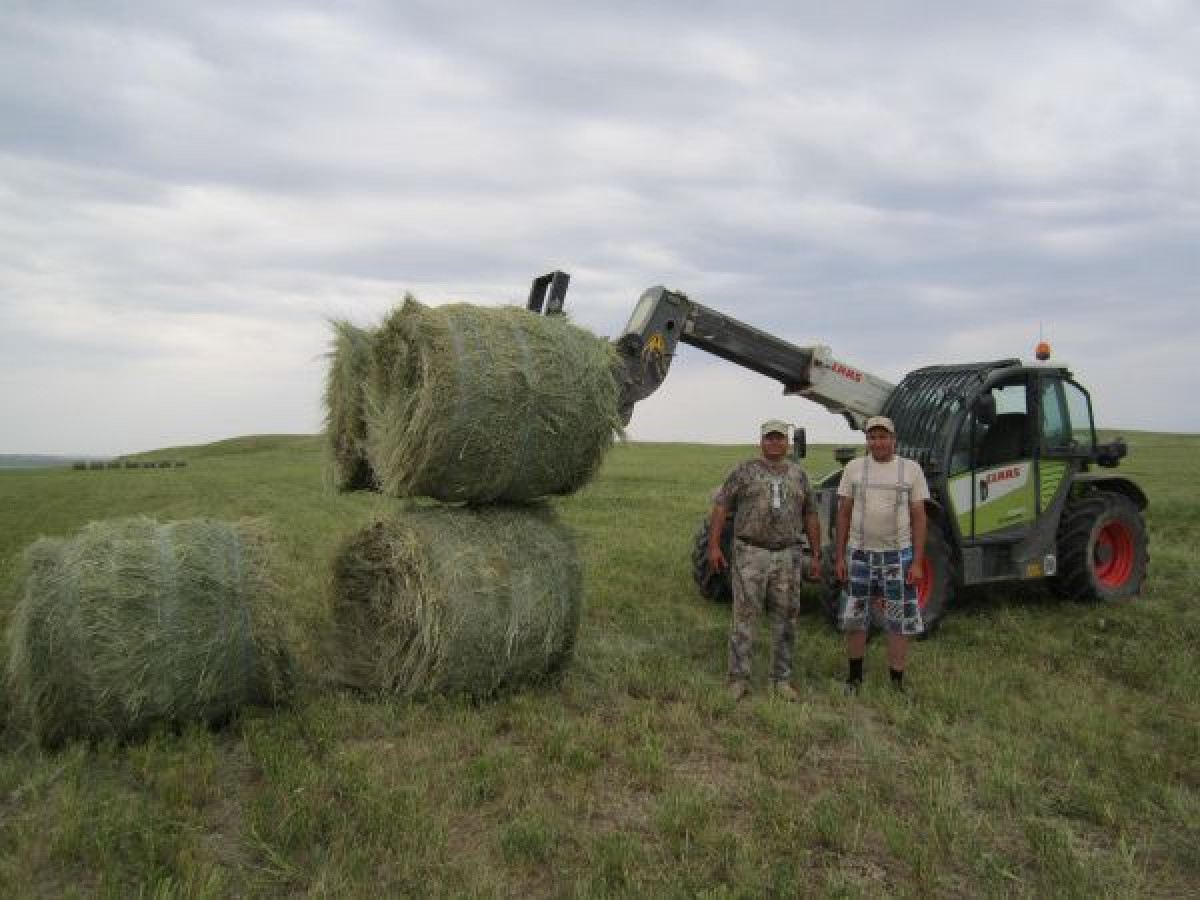 источник: kazakh-zerno.net