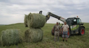 Меморандумы для поддержки частных подворий кормами заключают в Акмолинской области