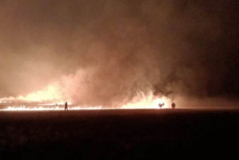 Фотография к новости: Три дня горела степь в Актюбинской области: дети сбивали пламя мокрой одеждой