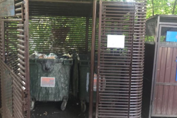 Фотография к новости: Мать выбросила новорожденную дочь в мусорный контейнер