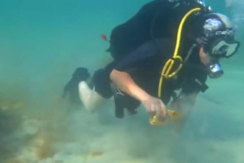 Фотография к новости: Подводную уборку на дне Каспия устроили в Мангистау