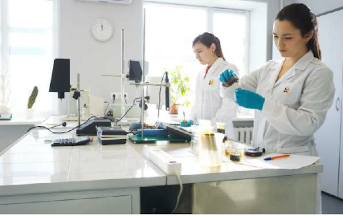 иллюстративное 