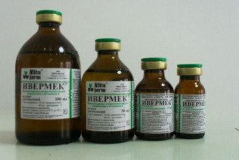 Фотография к новости: Почему люди лечат коронавирус ветеринарным препаратом и чем это опасно