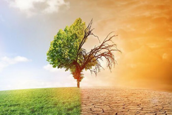 Фотография к новости: Центральная Азия через 78 лет потеплеет на 3-6 градусов