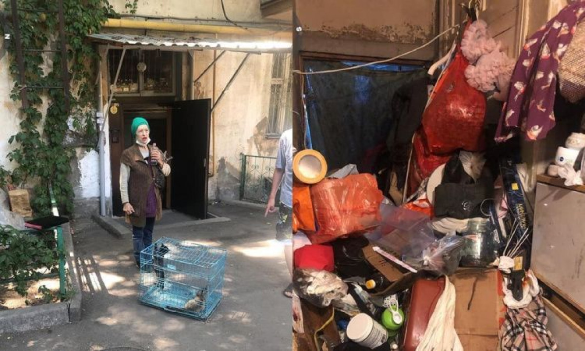 Алматинка держала в квартире 30 кошек и захламила жилье до потолка