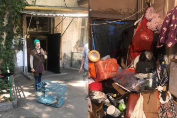 Фотография к новости: Алматинка держала в квартире 30 кошек и захламила жилье до потолка