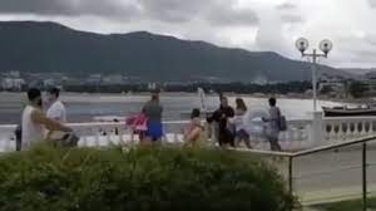 кадр из видео 