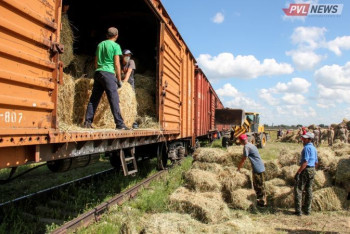 Фотография к новости: Чужой беды не бывает: павлодарцы отправили 250 тонн сена в Мангистаускую область