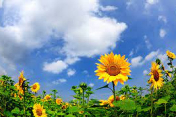 Фотография к новости: Какая погода ожидает казахстанцев 23 августа