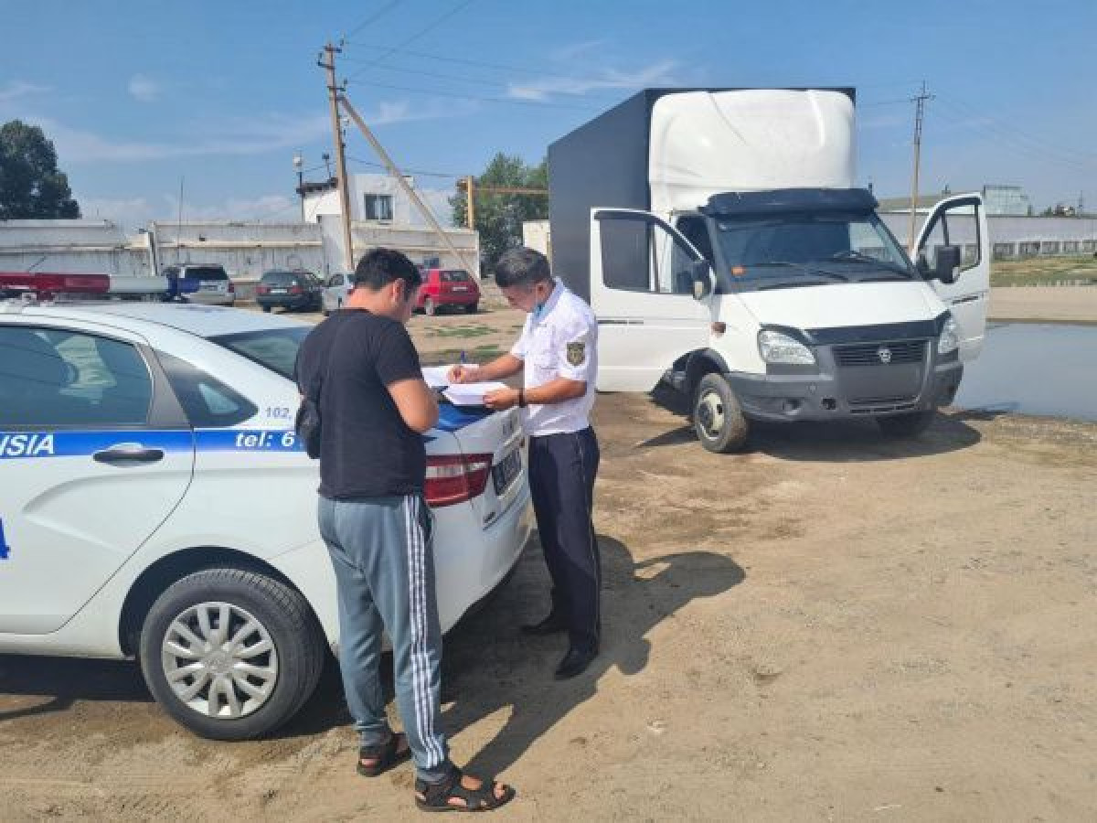 республиканская пала ЧСИ