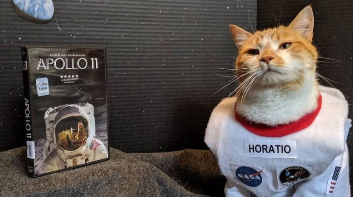 источник: @centrecountylibrary