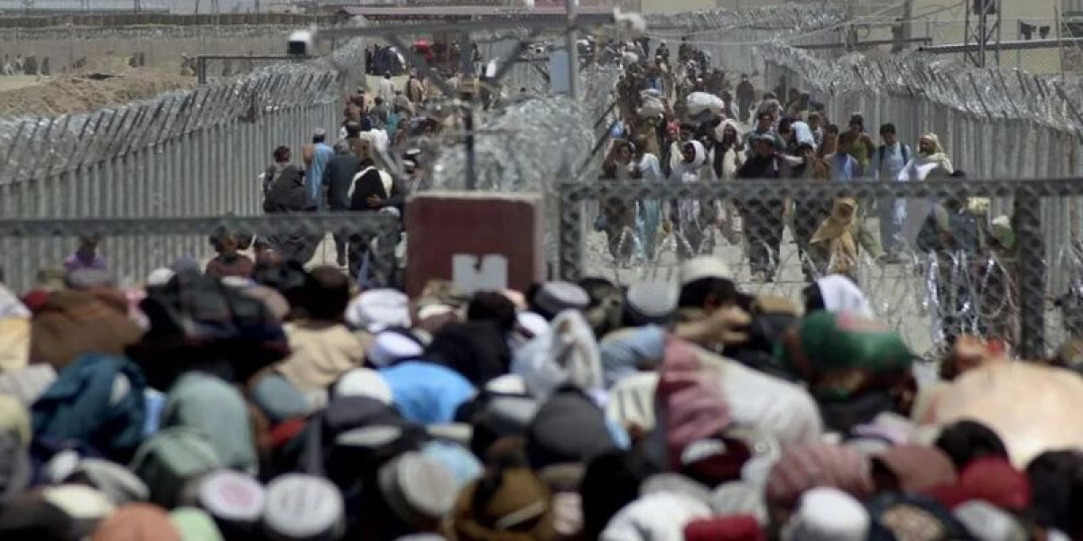 источник: tass.ru