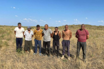 Фотография к новости: Плантации с марихуаной обнаружены на западе Казахстана. Задержаны 30 человек