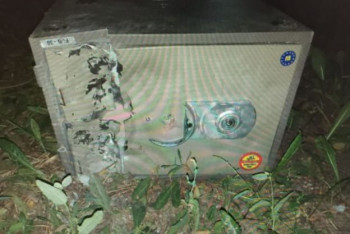 Фотография к новости: Рабочий выбросил сейф с деньгами с седьмого этажа ремонтируемой квартиры в Нур-Султане