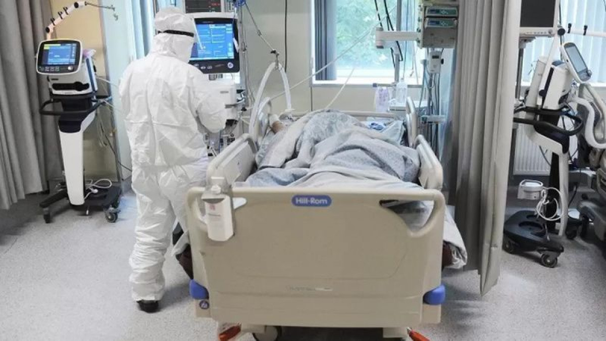 иллюстративное