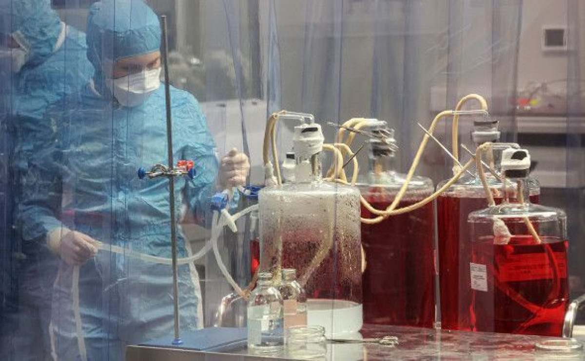 Виталий Белоусов/РИА Новости  