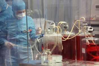 Фотография к новости: Безопасность "КовиВака" оценили на мышах, хомяках и обезьянах