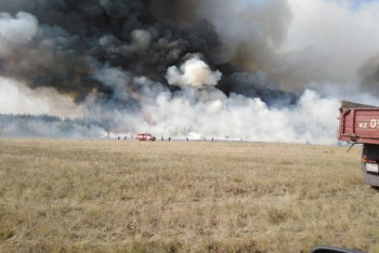Фотография к новости: Лес подожгли в Акмолинской области. Пожар тушили 150 человек