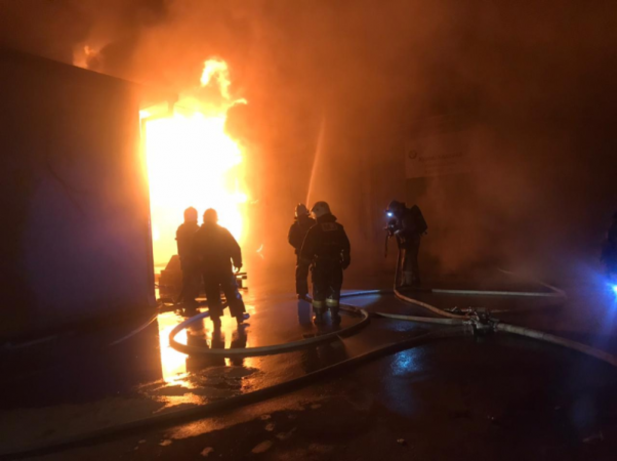 иллюстративное