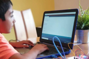 Фотография к новости: 12-летний школьник заработал более 350 тысяч долларов на пиксельных картинках с китами