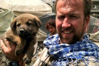 Фотография к новости: Британия вывезла из Кабула 200 котов и собак и завершила эвакуацию