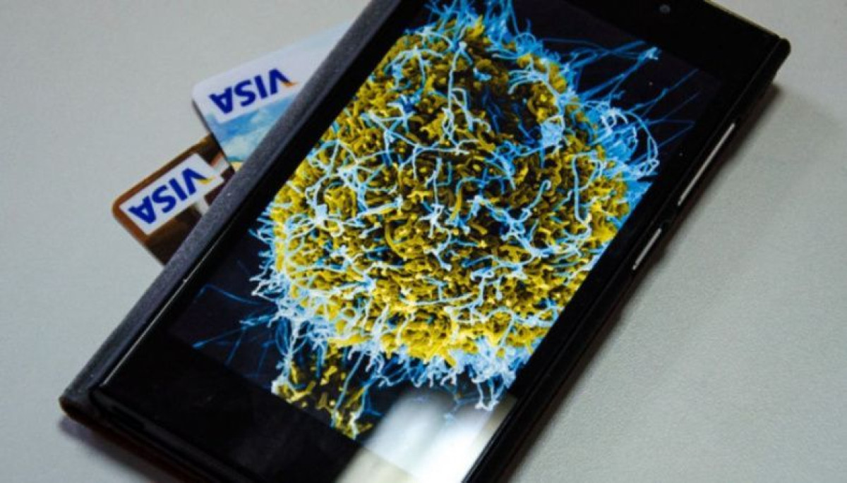 иллюстративное