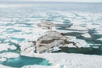 Фотография к новости: Обнаружен самый северный остров на Земле