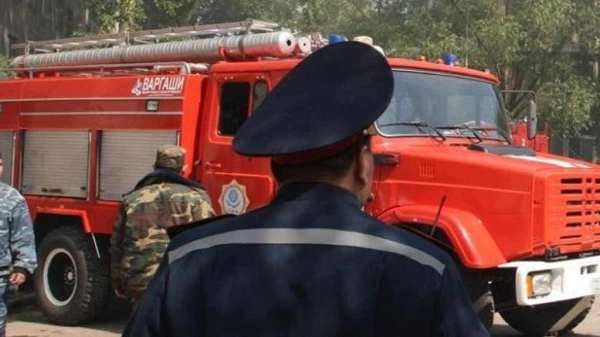 иллюстративное