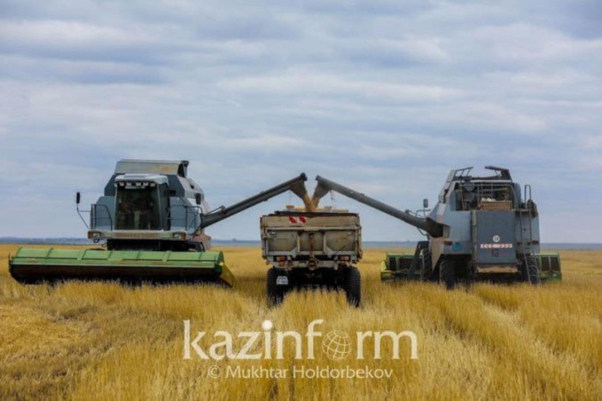 Иллюстративное: inform.kz.