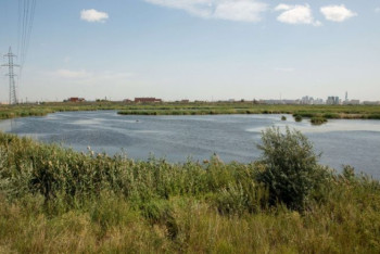 Фотография к новости: Сохраним Малый Талдыколь вместе: экоактивисты Казахстана обратились к Президенту