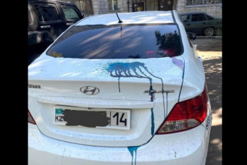 Фотография к новости: Пенсионерка облила авто соседки зеленкой в Павлодаре