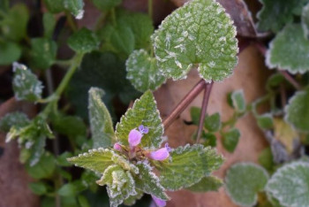 Фотография к новости: В предстоящие выходные казахстанцев ожидает дождливая погода и заморозки