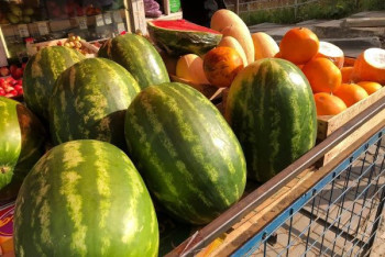 Фотография к новости: Инфекционист назвал симптомы отравления арбузом или дыней