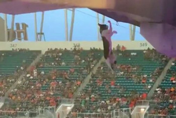 Фотография к новости: Футбольные болельщики спасли сорвавшегося с трибуны кота