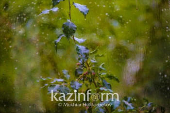 Фотография к новости: Заморозки ожидаются в трех областях Казахстана