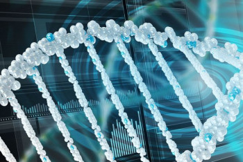 Фотография к новости: Ученые убрали ошибки при синтезе белков и выяснили, что это продлевает жизнь