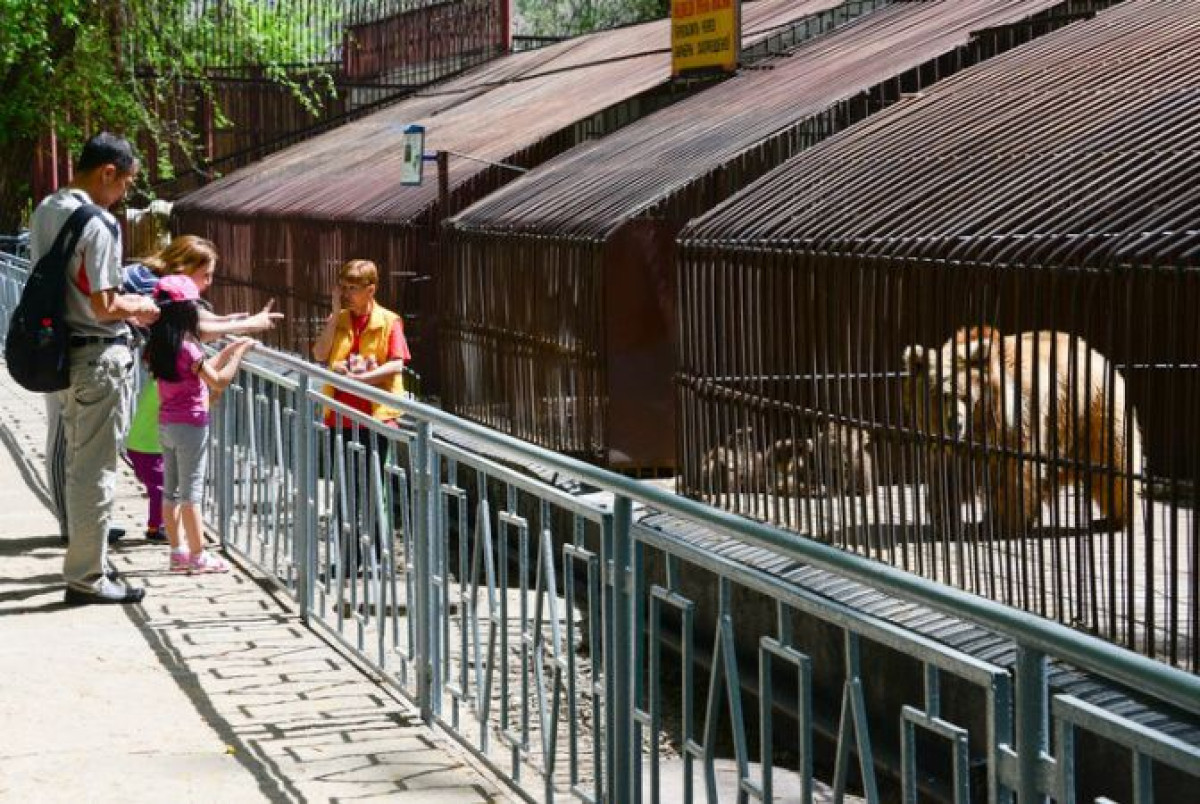 Роман Суханов