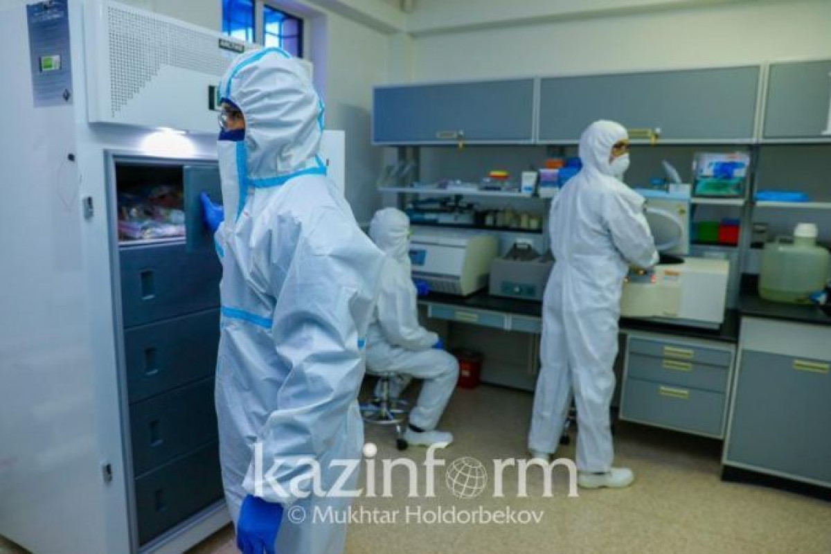 Коронавирус мог начать заражать людей за полгода до вспышки в Ухане