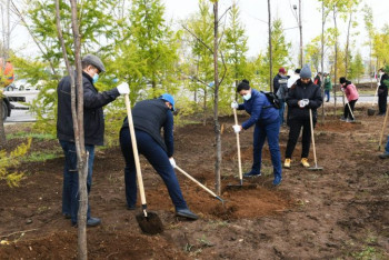 Фотография к новости: Около 3000 деревьев высадили в Нур-Султане
