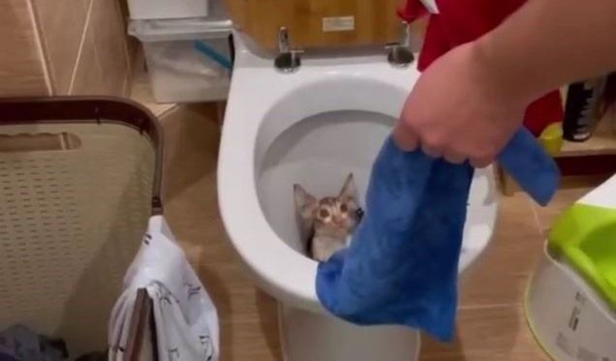 скриншот видео