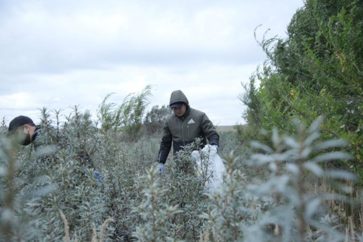 Экоакцию в честь Всемирного дня туризма провели в Акмолинской области
